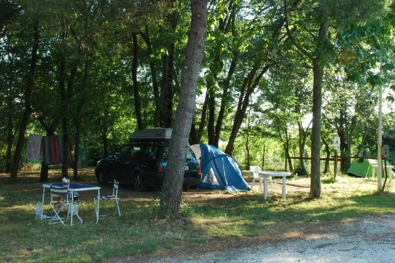 Camping Village Torre Pendente