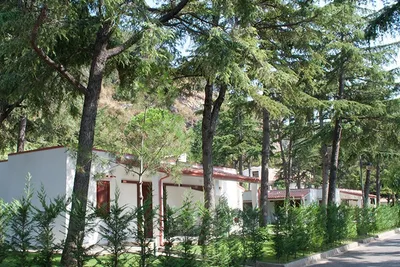 Camping Villaggio Turistico la Mantinera  -  Mobilheime vom Campingplatz zwischen Bäumen