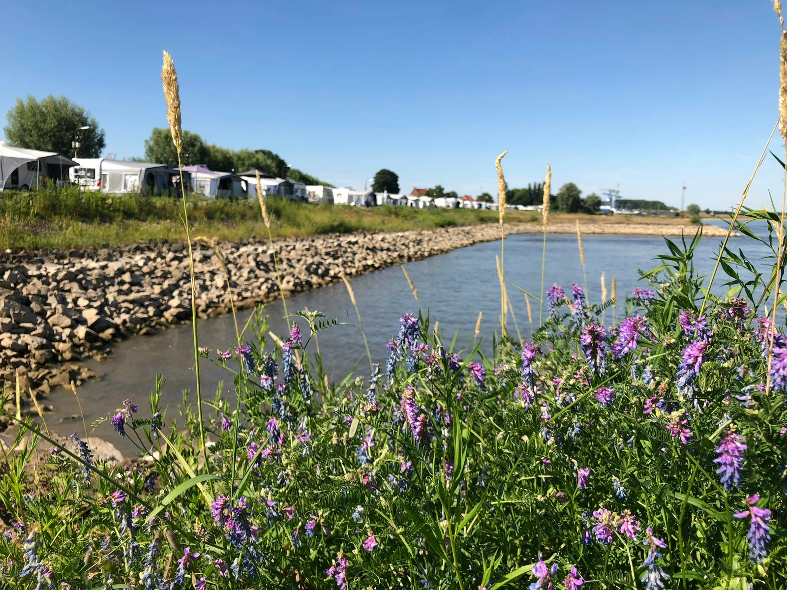 Camping Waalstrand