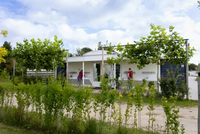 Camping Waddenzee - Bild 3