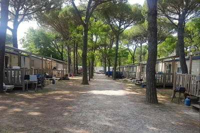 Camping Waikiki  -  Mobilheime vom Campingplatz mit Veranden zwischen Bäumen