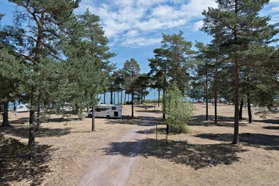 First Camp Oknö - Wohnwagenstellplatz und Zeltplatz zwischen den Bäumen auf dem Campingplatz