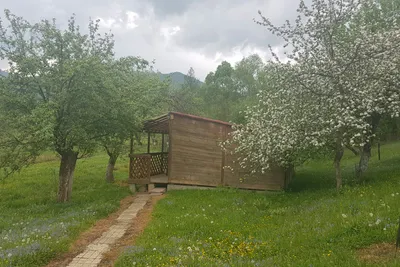 Camping Zamolxe -Außenansicht des Mobilheims