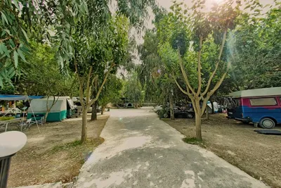 Camping Zante -  Wohnwagenstellplätze im Grünen auf dem Campingplatz