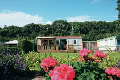 Camping Zonnekamp  - Mobilheim mit Veranda auf dem Campingplatz auf der Wiese