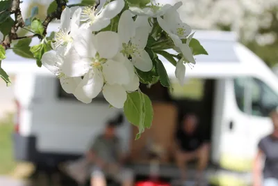 Campinggarten Wahlwies - camperplätze
