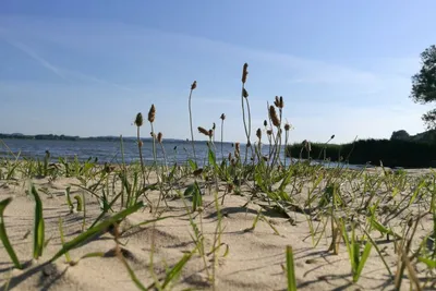 Campingparadies Dahmen - Malchiner See Strand