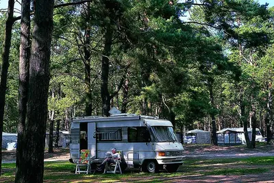 Campingpark Am Weißen See - Bild 3