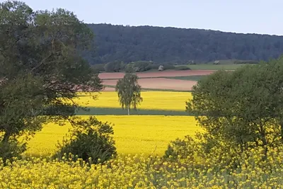 Campingpark Humboldtsee