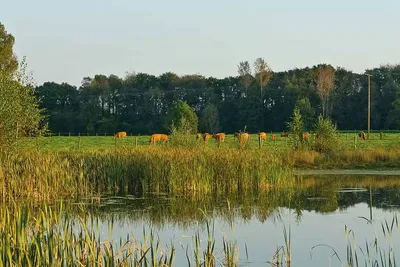 Campingpark Kerstgenshof Bild 4