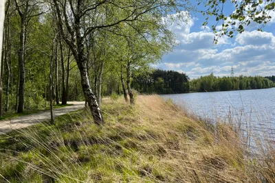 Campingpark Ottermeer - Bild 2