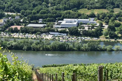 Campingpark Zell Mosel - Blick auf Mosel - 1.JPG