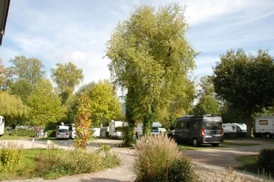 Camping am Möslepark  -  Stellplatz vom Campingplatz zwischen Bäumen