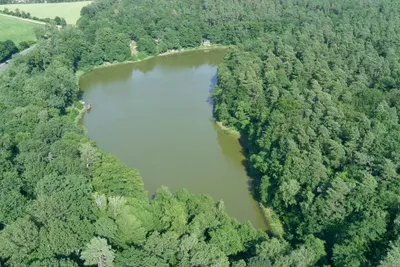 Campingplatz am Sassenpfuhl e.V.  - Luftaufnahme des Sees umgeben von Wald