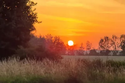Campingplatz am Sassenpfuhl e.V. - Sonnenuntergang über dem Campingplatz