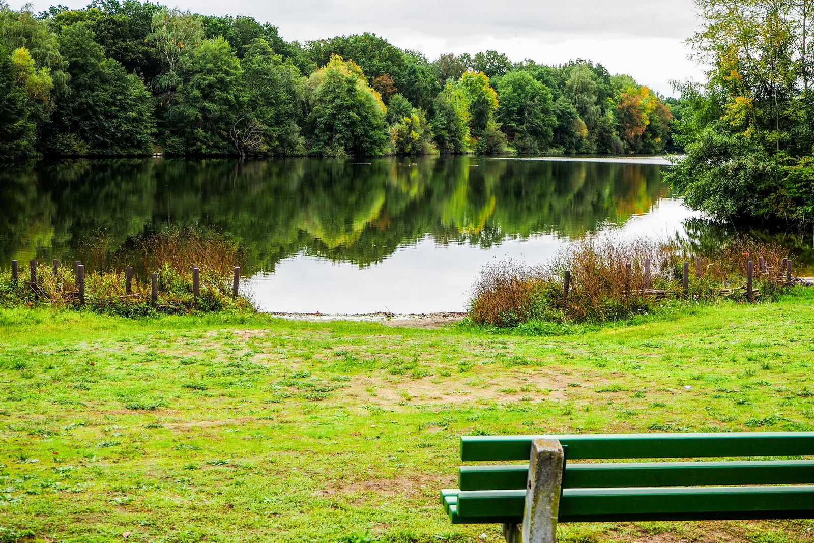 Campingplatz am Steinrodsee