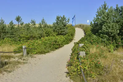 Campingplatz An den Stranddünen Bild 4