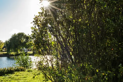 Camping Arnumer See - Blick auf den See