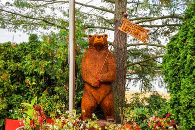 Campingplatz Bärensee - Bärenfigur aus Holz