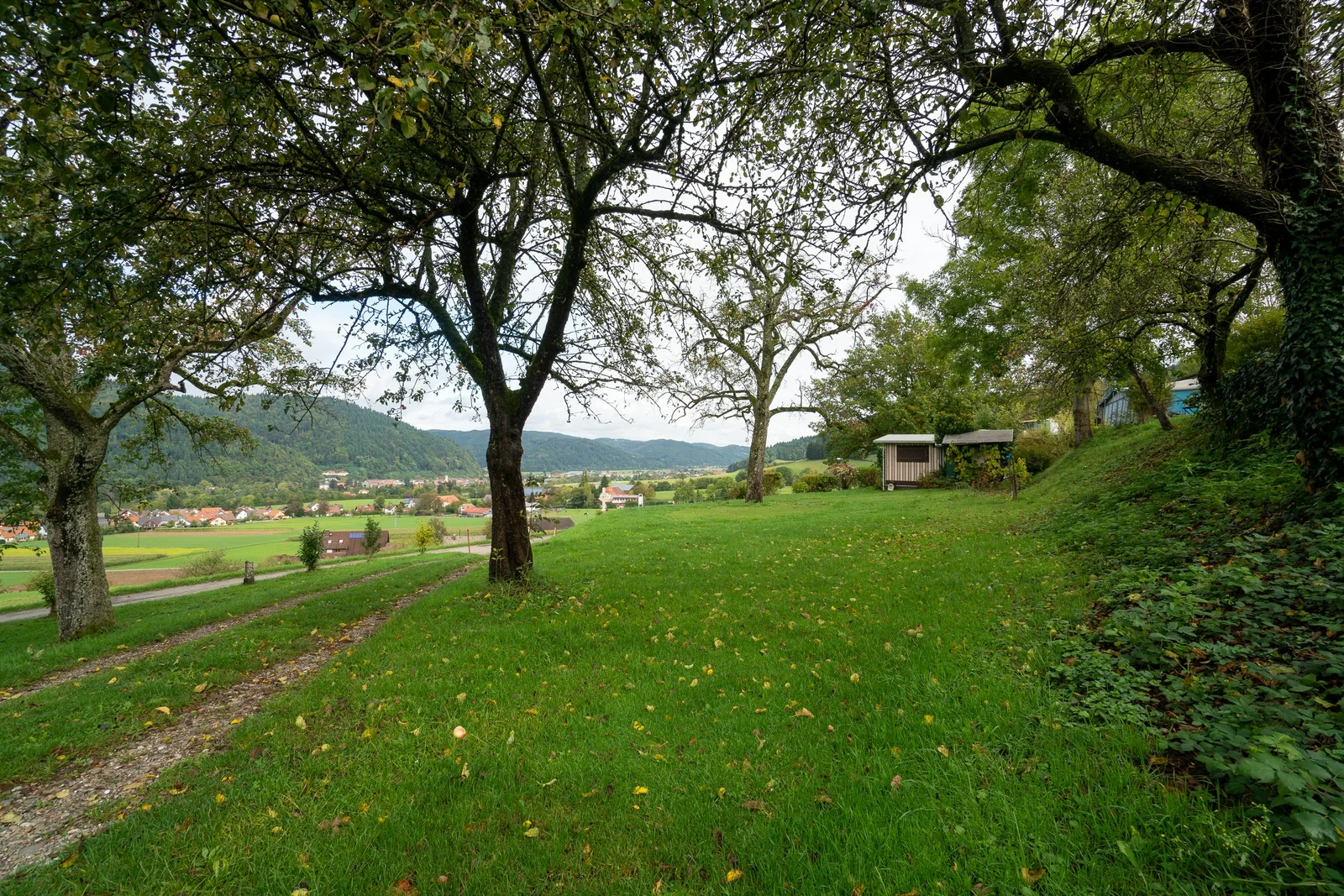 Campingplatz Elztalblick