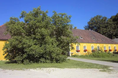 Camping Finsterhof -  Außenansicht der Rezeption auf dem Campingplatz