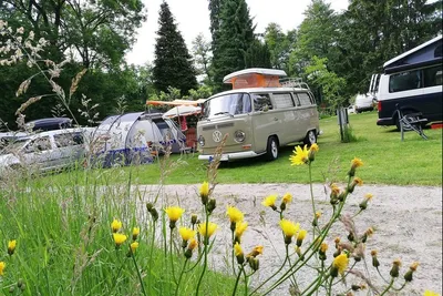 Campingplatz Gräßelmühle - Zeltplatz und Wohnwagenstellplatz auf grüner Wiese auf dem Campingplatz
