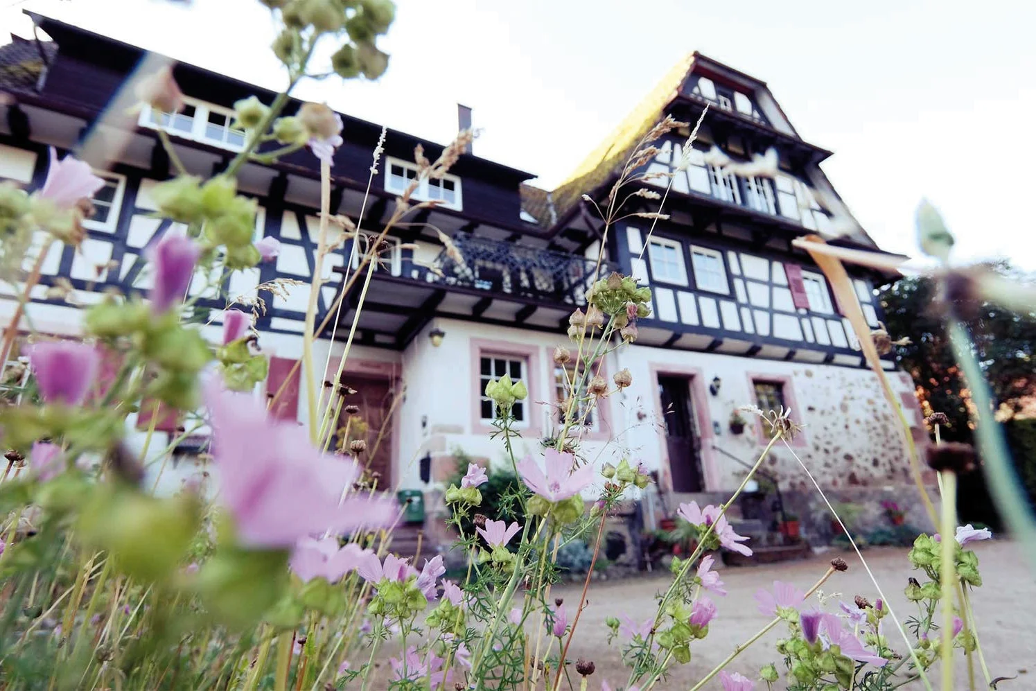 Campingplatz Grässelmühle