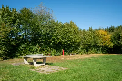 Camping Häsle - Tischtennisplatte