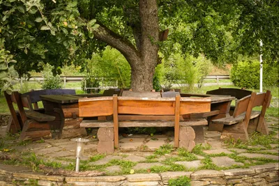 Campingplatz Haumühle - Bild 3
