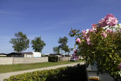 Campingplatz Heidkoppel Bild 4