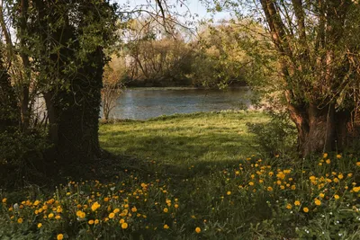 Campingplatz Ideal - Bild 4