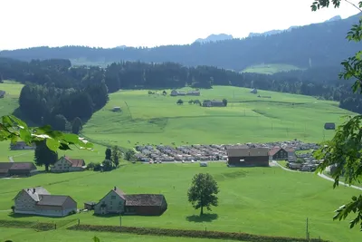 Camping Jakobsbad  -  Campingplatz in den Alpen im Sommer
