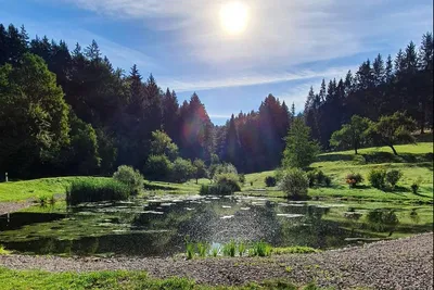 Campingplatz Nüßleshof - Kleiner See auf dem Campingplatz