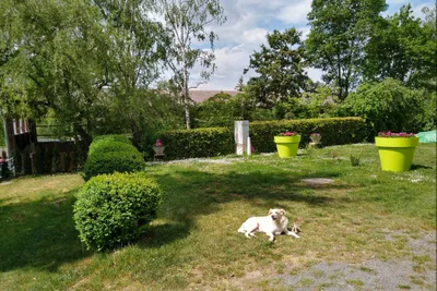 Campingplatz Oberes Leintal - Hunde willkommen auf dem Campingplatz