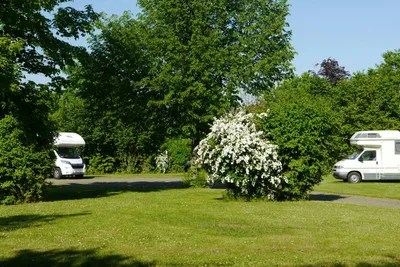Camping und Erholungspark Nord-Elm -  Wohnwagen- und Zeltstellplatz zwischen Bäumen auf dem Campingplatz