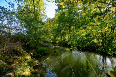 Camping Schwabenmühle - Fluss
