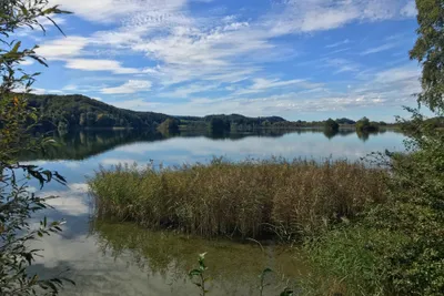 Campingplatz Seehamer See - Seeufer.JPG