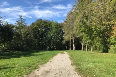 Campingplatz Seehamer See - Zeltwiese.JPG