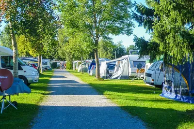 Campingplatz Seewang - Allee auf dem Campingplatz mit Stellplätzen an den Seiten