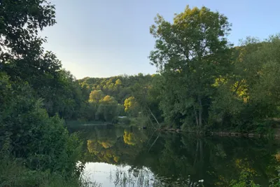 Nied | Camping Siersburg  Campingplatz Siersburg - Blick auf den See umgeben von Wald