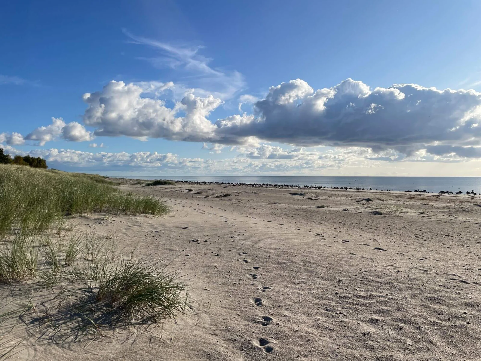 Campingplatz Sonnenland