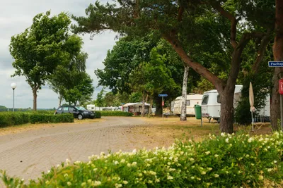 Campingplatz Thiessow  -  Wohnwagenstellplatz und Wohnmobilstellplatz vom Campingplatz zwischen Bäumen