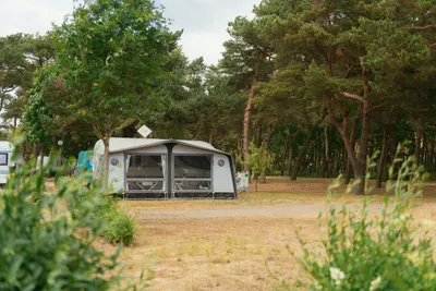 Campingplatz Thiessow  -  Wohnwagen- und Zeltstellplatz vom Campingplatz im Grünen