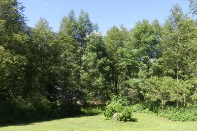 Camping Trun - Zeltwiese hinterm Badehaus auf dem Campingplatz