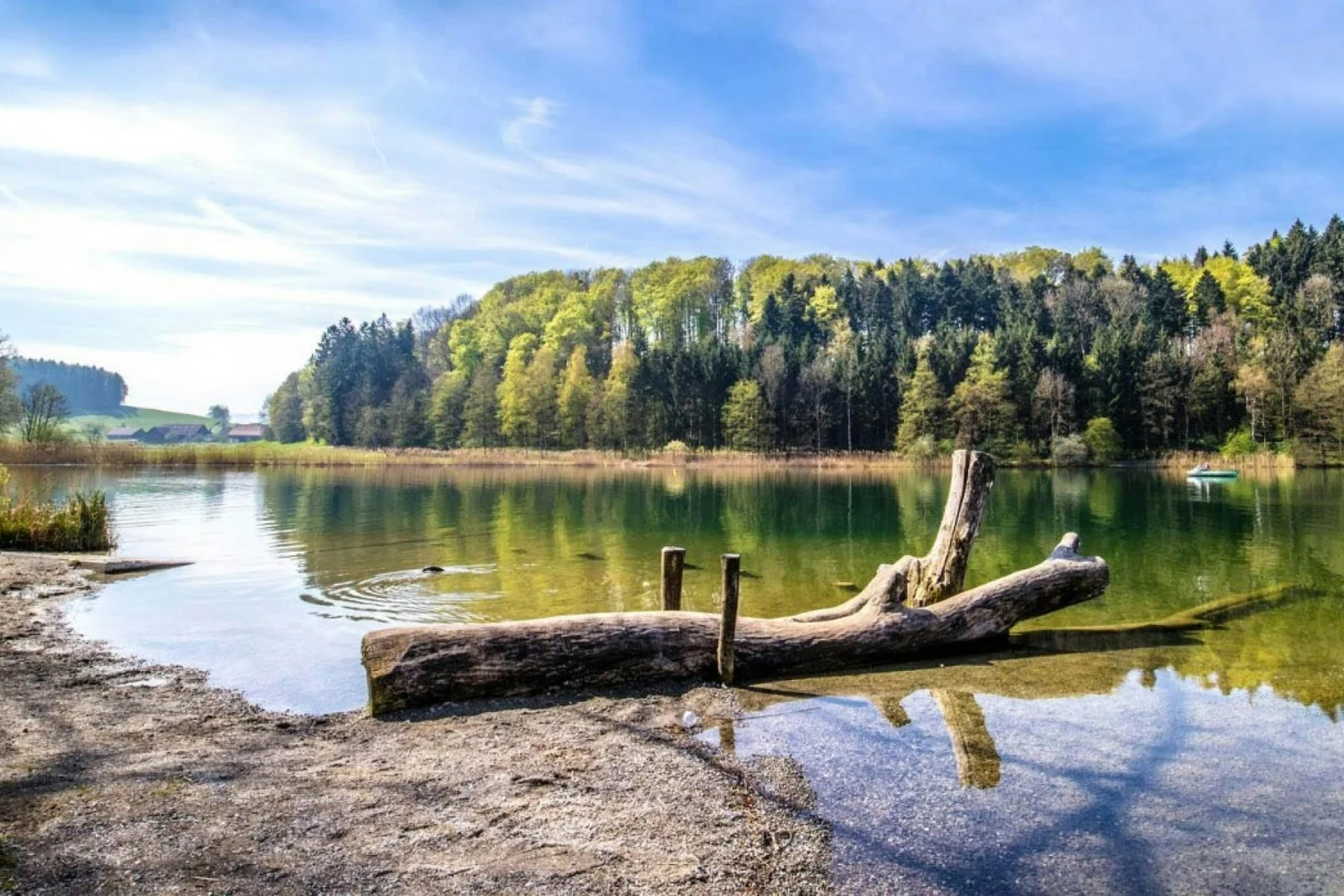Campingplatz Türlersee