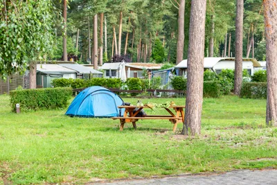 Campingplatz Wusterhausen - Zeltwiese auf dem Campingplatz