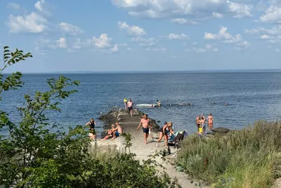 Caravan Club Norrvikens Camping  Norrviccens CC Camping - Blick auf die Badestelle am Campingplatz