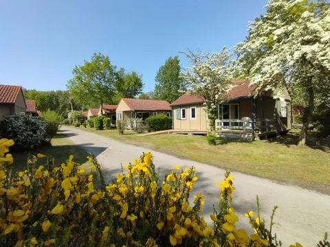 CARAVANING L'OREE DU BOIS