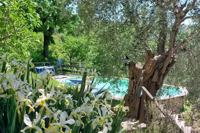 Camping Casa Aurora - Pool auf dem Campingplatz