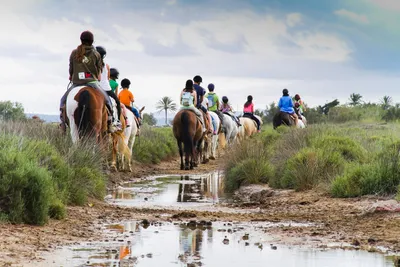 Camping Castell Mar - Reiten in der Natur